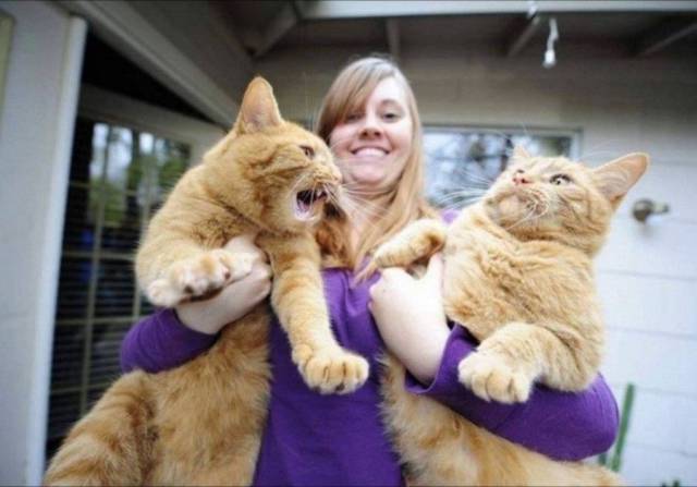 daily picdump 95 pics 35.html - 95 HD Photos | Premium Gallery 2017