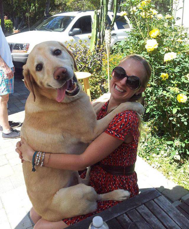 daily picdump 95 pics 35.html - 95 HD Photos | Premium Gallery 2017