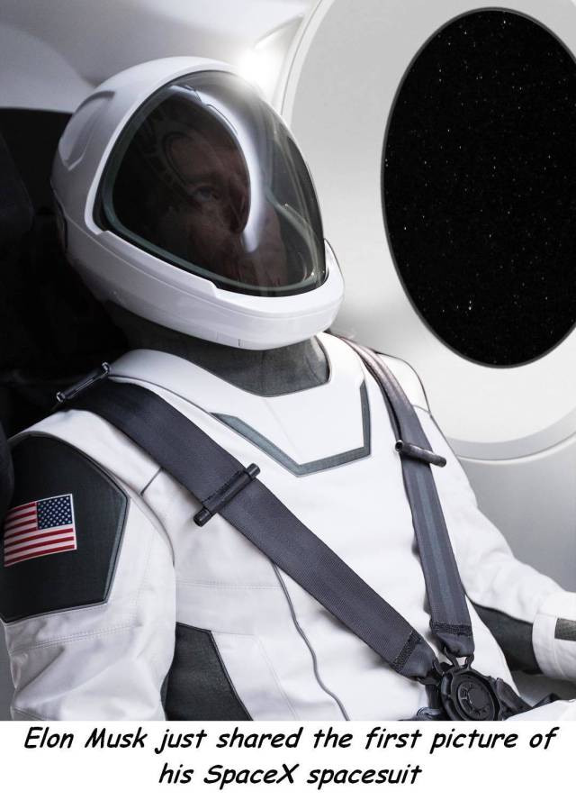 daily picdump 95 pics 35.html - 95 HD Photos | Premium Gallery 2017