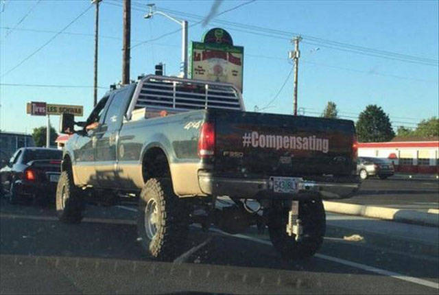 Morning Picdump
