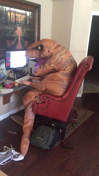 Morning Picdump