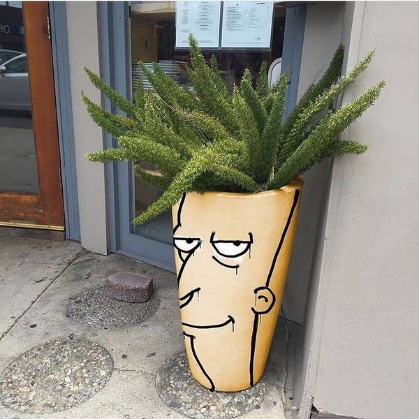 Morning Picdump