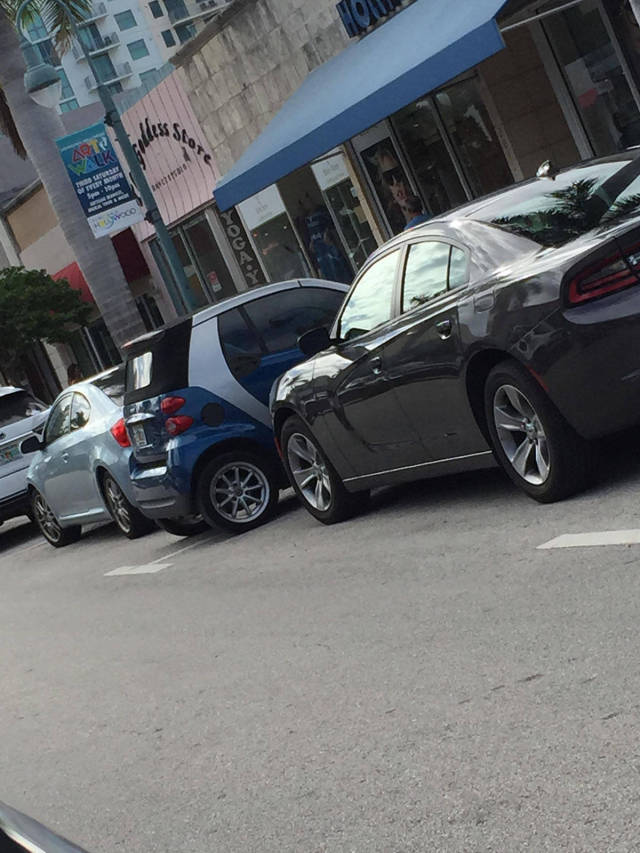 morning picdump 52 pics 20.html - 52 HD Photos | Premium Gallery 2017