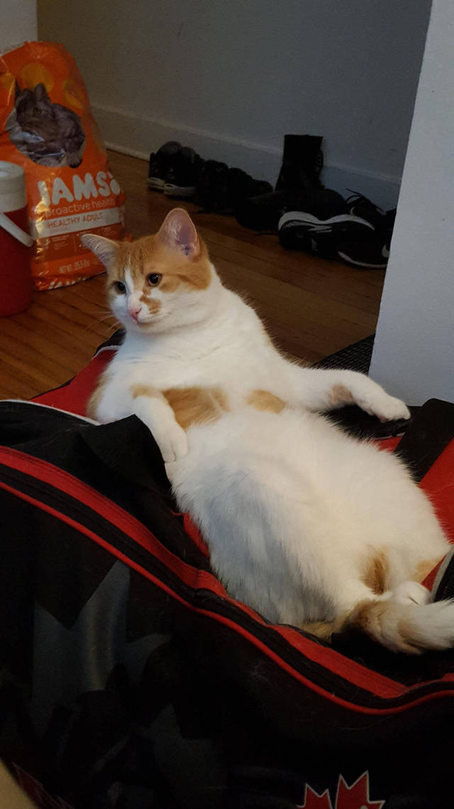 morning picdump 52 pics 20.html - 52 HD Photos | Premium Gallery 2017