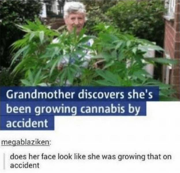 daily picdump 96 pics 24.html - 96 HD Photos | Premium Gallery 2017