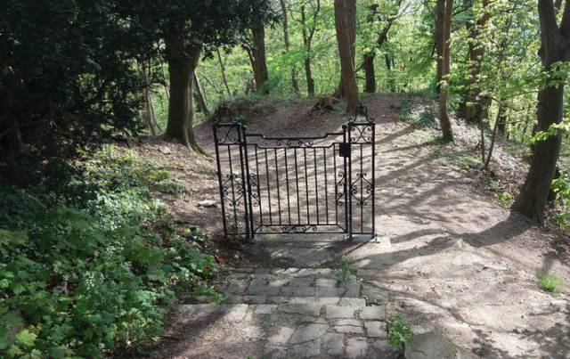 daily picdump 96 pics 24.html - 96 HD Photos | Premium Gallery 2017