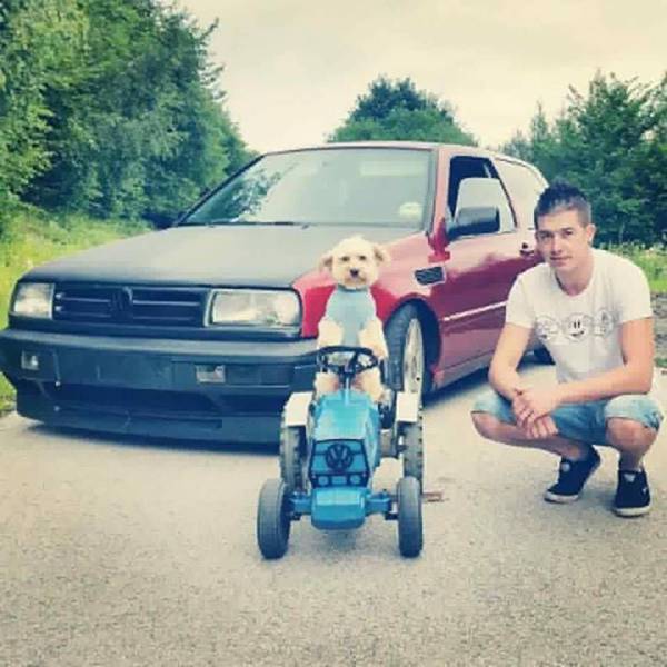 daily picdump 96 pics 24.html - 96 HD Photos | Premium Gallery 2017