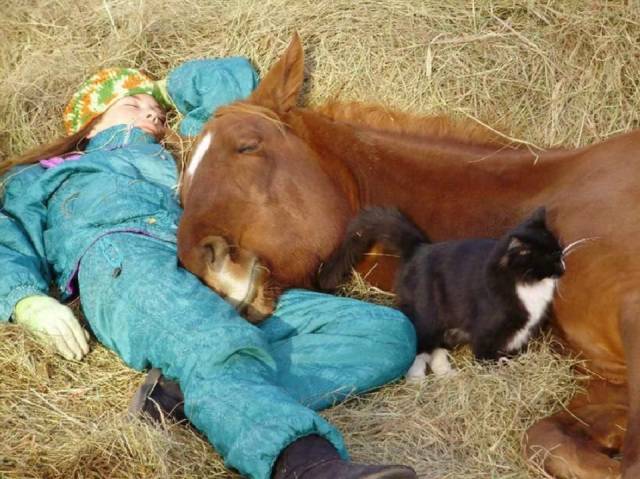 daily picdump 96 pics 24.html - 96 HD Photos | Premium Gallery 2017