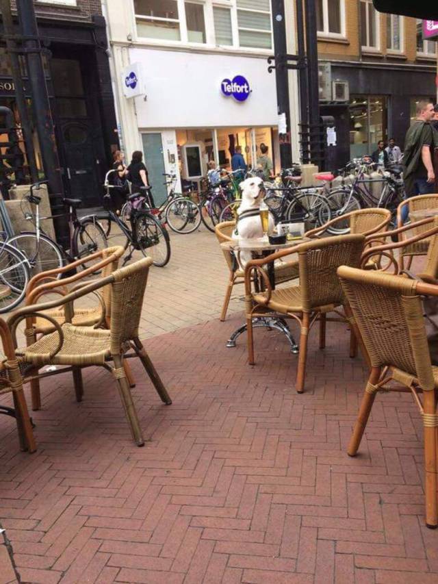 daily picdump 96 pics 24.html - 96 HD Photos | Premium Gallery 2017