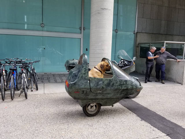 morning picdump 52 pics 2.html - 52 HD Photos | Premium Gallery 2017