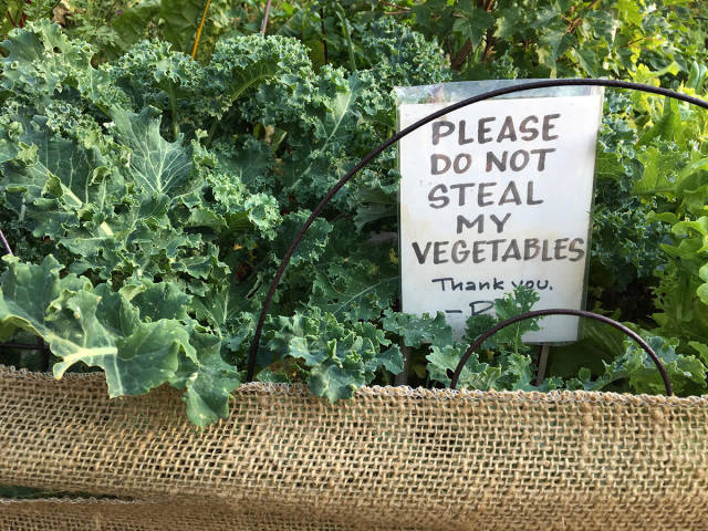 morning picdump 52 pics 2.html - 52 HD Photos | Premium Gallery 2017