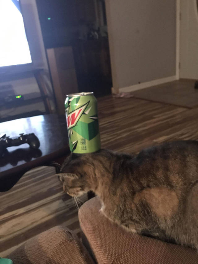 morning picdump 52 pics 2.html - 52 HD Photos | Premium Gallery 2017