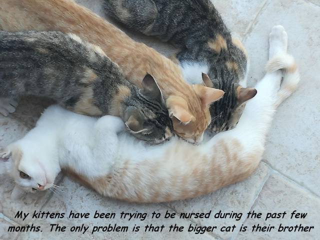 daily picdump 89 pics 8.html - 89 HD Photos | Premium Gallery 2017