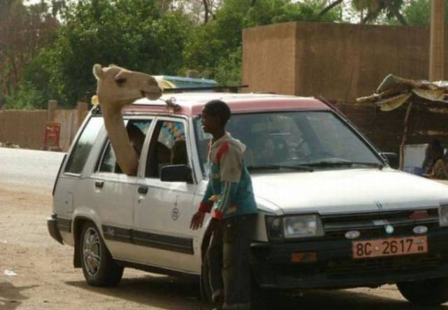 daily picdump 89 pics 8.html - 89 HD Photos | Premium Gallery 2017