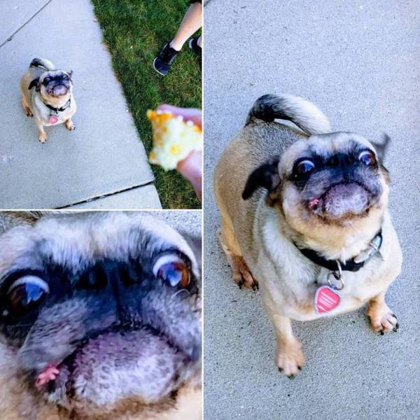 daily picdump 89 pics 8.html - 89 HD Photos | Premium Gallery 2017