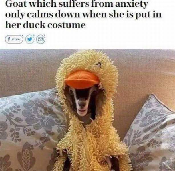 daily picdump 89 pics 8.html - 89 HD Photos | Premium Gallery 2017