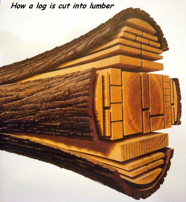 daily picdump 89 pics 8.html - 89 HD Photos | Premium Gallery 2017