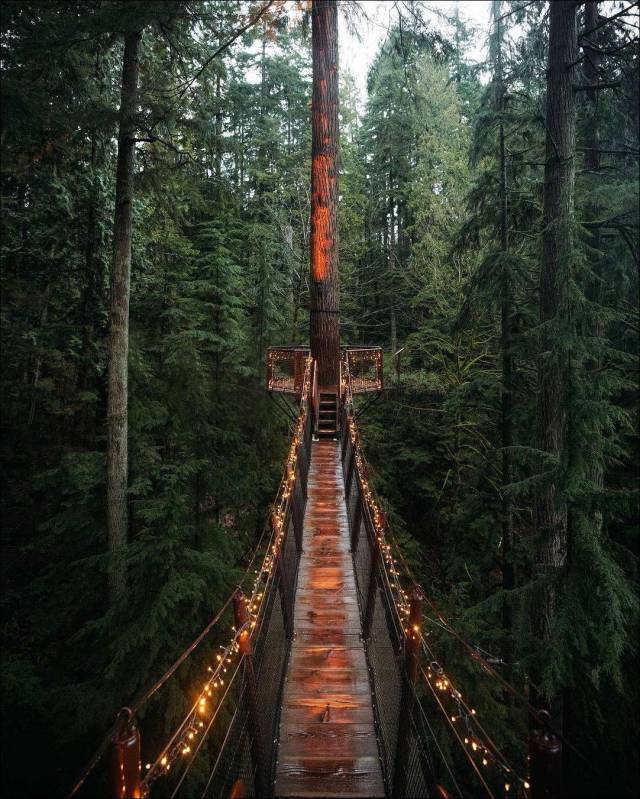 daily picdump 89 pics 8.html - 89 HD Photos | Premium Gallery 2017