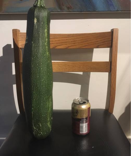 morning picdump 49 pics 1.html - 49 HD Photos | Premium Gallery 2017