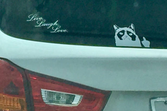 morning picdump 49 pics 1.html - 49 HD Photos | Premium Gallery 2017