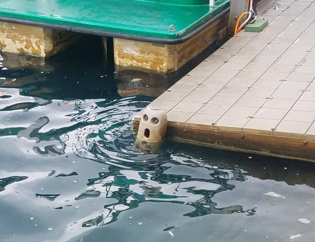 morning picdump 49 pics 1.html - 49 HD Photos | Premium Gallery 2017