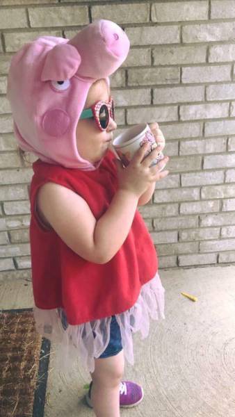 daily picdump weekend edition 54 pics 2.html - 54 HD Photos | Premium Gallery 2017