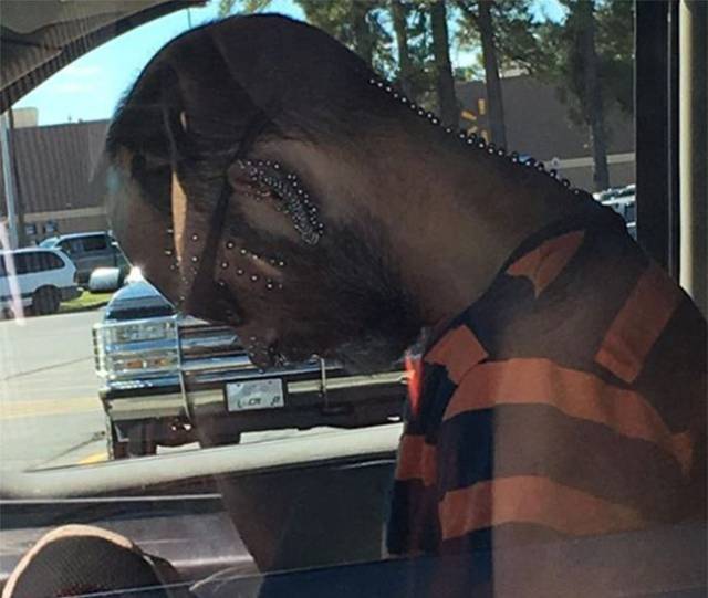 Daily Picdump
