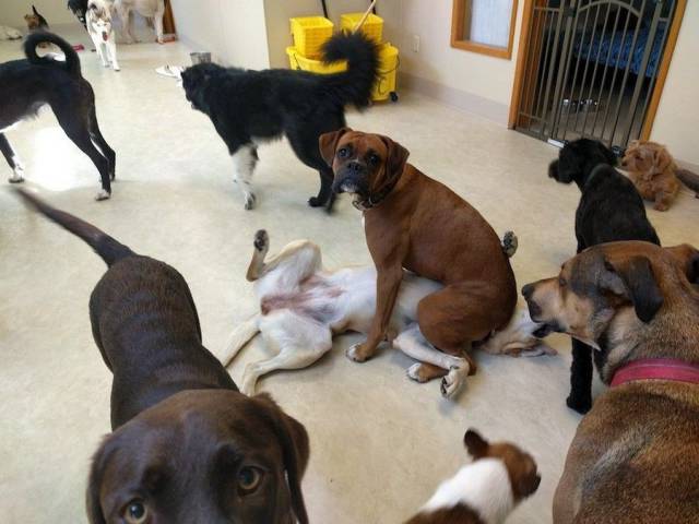 daily picdump 105 pics 45.html - 105 HD Photos | Premium Gallery 2017