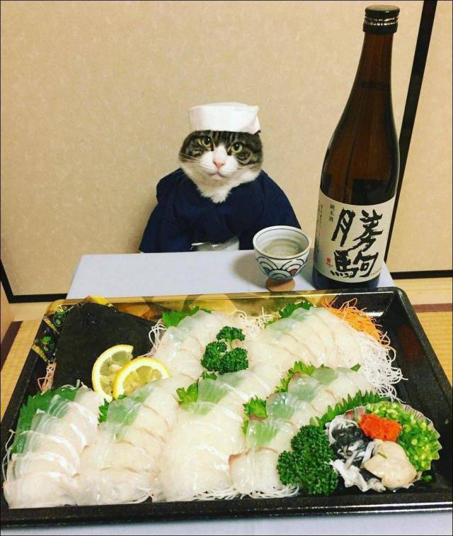 Daily Picdump