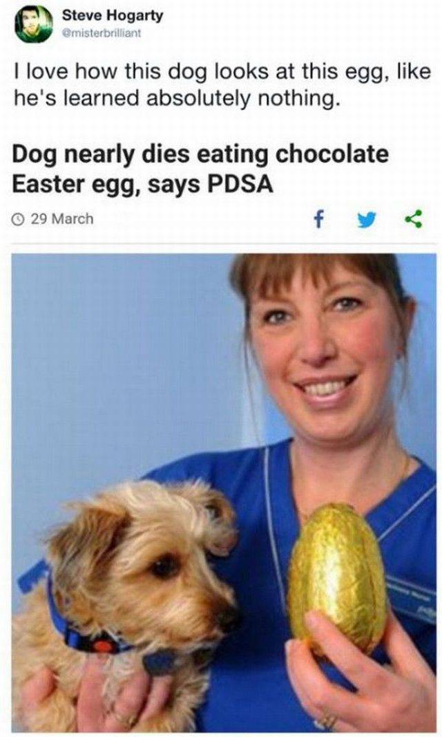 daily picdump 105 pics 45.html - 105 HD Photos | Premium Gallery 2017