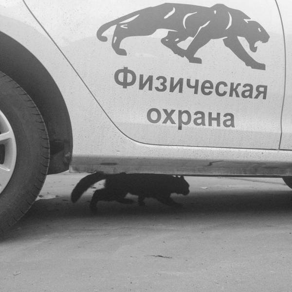 daily picdump 95 pics 34.html - 95 HD Photos | Premium Gallery 2017