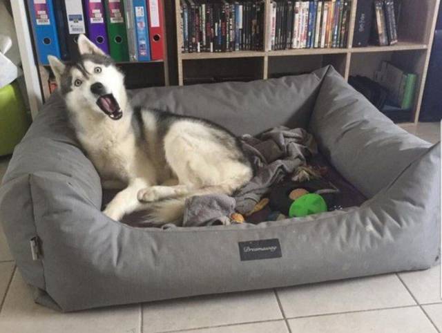 daily picdump 95 pics 34.html - 95 HD Photos | Premium Gallery 2017