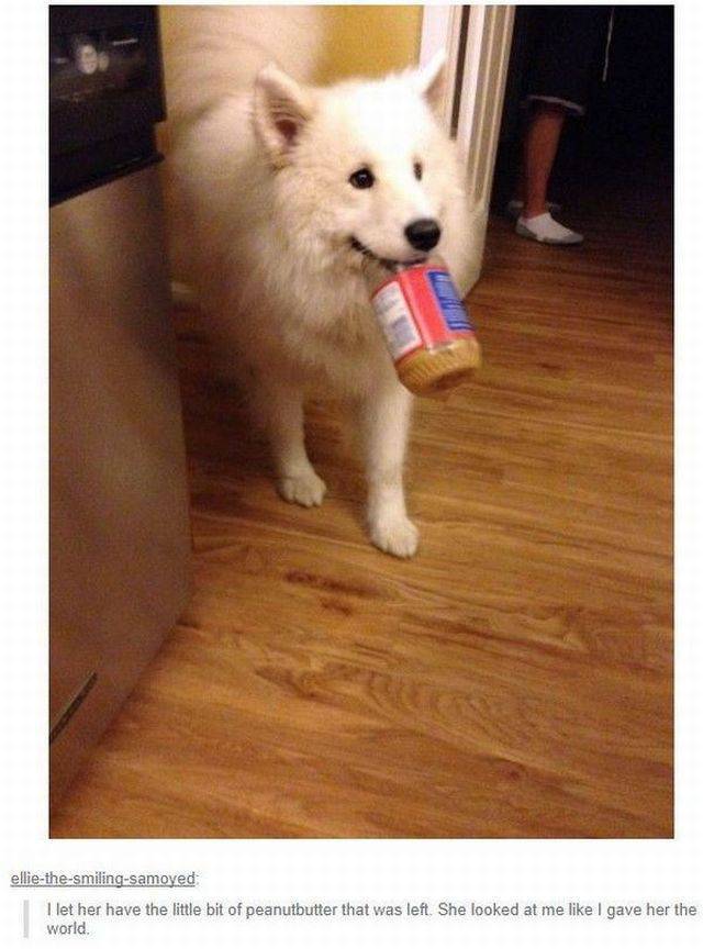 Daily Picdump