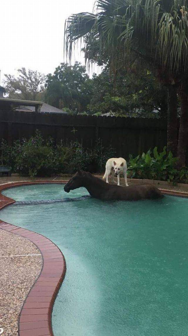 Daily Picdump