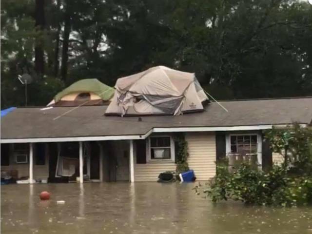 morning picdump 52 pics 9.html - 52 HD Photos | Premium Gallery 2017