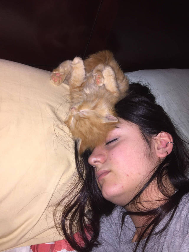 morning picdump 52 pics 9.html - 52 HD Photos | Premium Gallery 2017