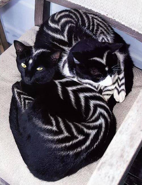 morning picdump 52 pics 9.html - 52 HD Photos | Premium Gallery 2017