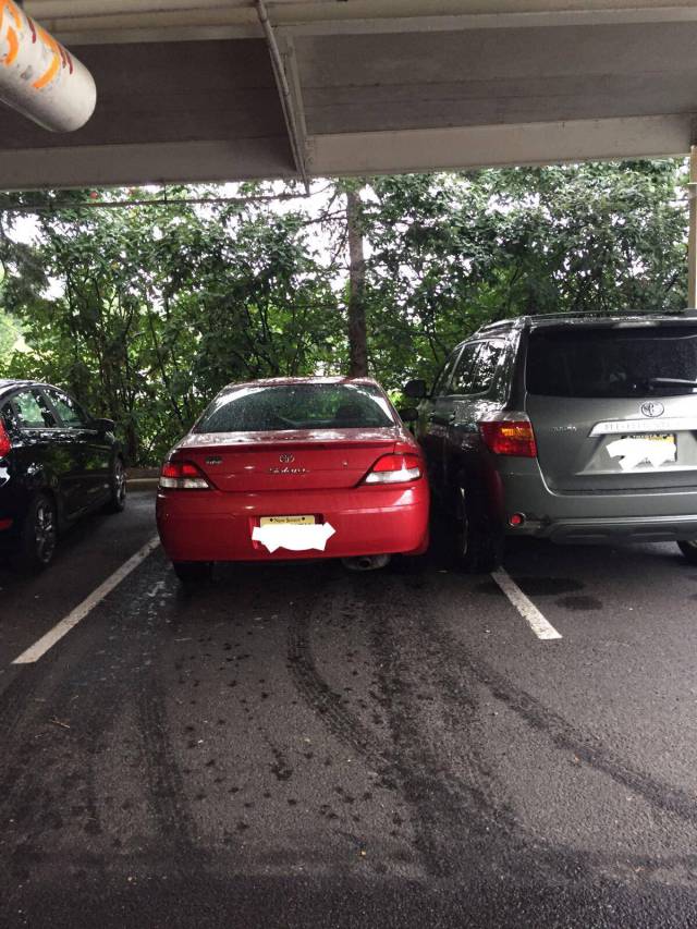 morning picdump 52 pics 9.html - 52 HD Photos | Premium Gallery 2017