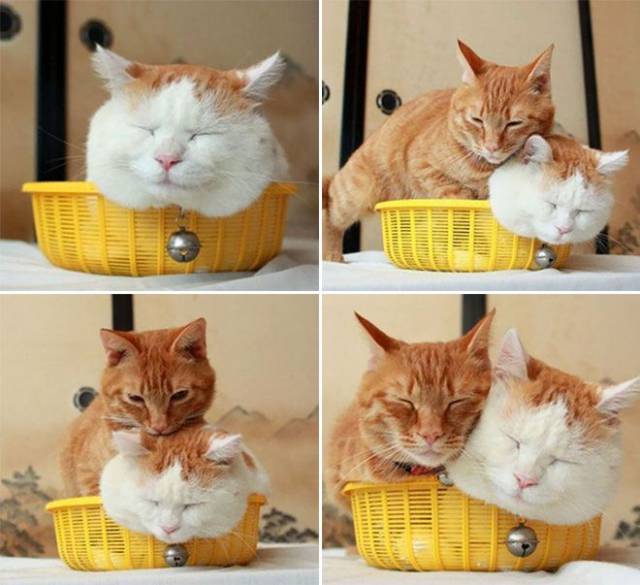 Daily Picdump