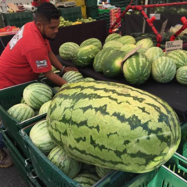 daily picdump 98 pics 39.html - 98 HD Photos | Premium Gallery 2017