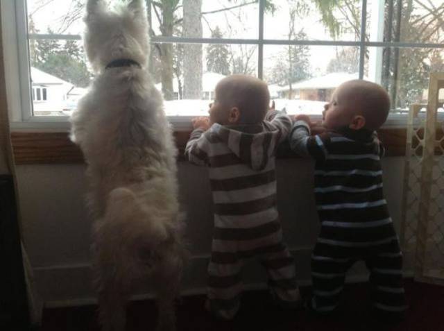 daily picdump 98 pics 39.html - 98 HD Photos | Premium Gallery 2017