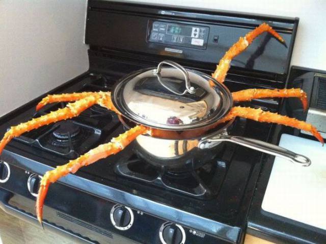 daily picdump 98 pics 39.html - 98 HD Photos | Premium Gallery 2017