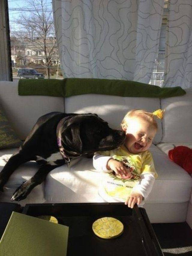 daily picdump 98 pics 39.html - 98 HD Photos | Premium Gallery 2017