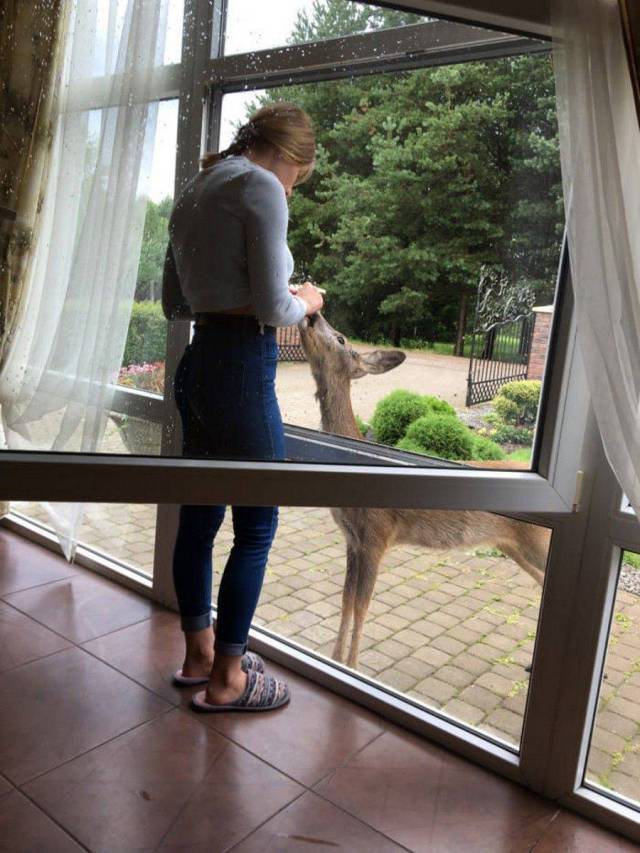 daily picdump 98 pics 39.html - 98 HD Photos | Premium Gallery 2017