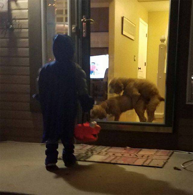 daily picdump 98 pics 39.html - 98 HD Photos | Premium Gallery 2017