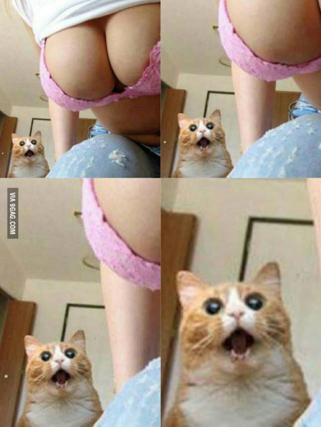 Dirty Humor Wants You Bad!