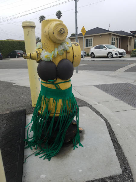 morning picdump 54 pics 22.html - 54 HD Photos | Premium Gallery 2017
