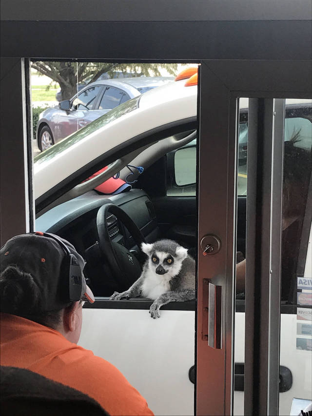 morning picdump 54 pics 22.html - 54 HD Photos | Premium Gallery 2017