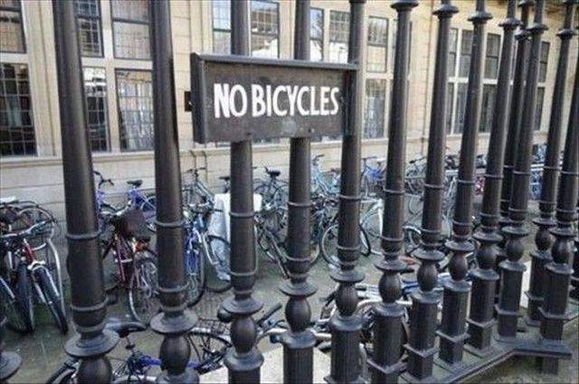 daily picdump 97 pics 9.html - 97 HD Photos | Premium Gallery 2017