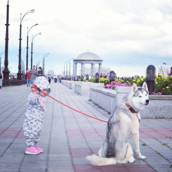 daily picdump 97 pics 9.html - 97 HD Photos | Premium Gallery 2017